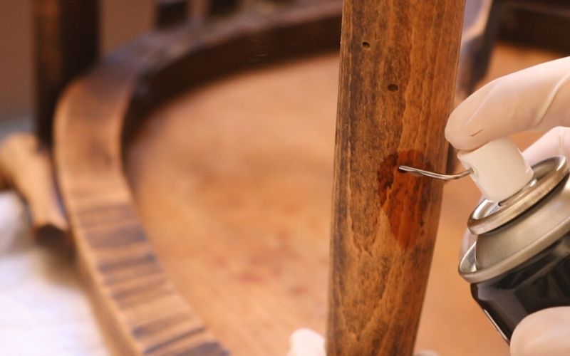 Inyecta el spray anticarcoma en los agujeros