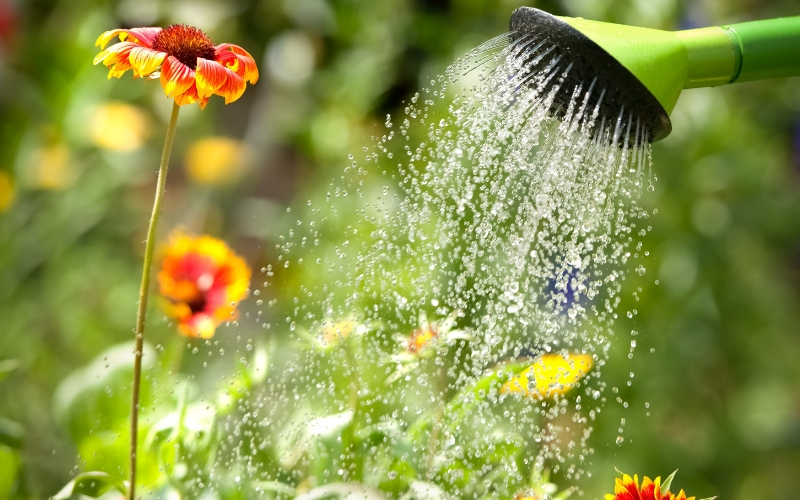 Formas de ahorrar agua