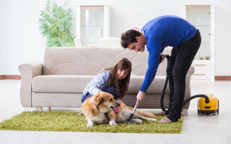 Aspirador potente para pelos de mascotas