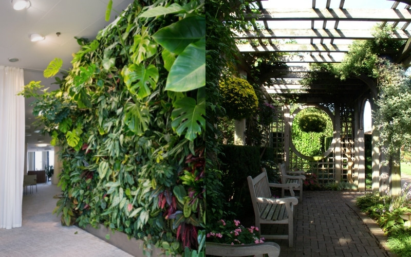 Decoración con jardines verticales para separar ambientes