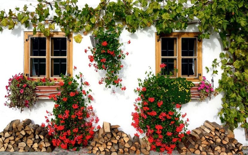 Decorar la fachada con plantas