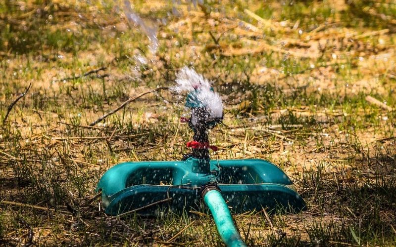 Regar las plantas con riego automático
