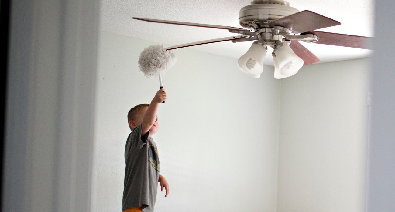 Cómo elegir un ventilador de techo | Cadena88 Cómo elegir el ventilador perfecto