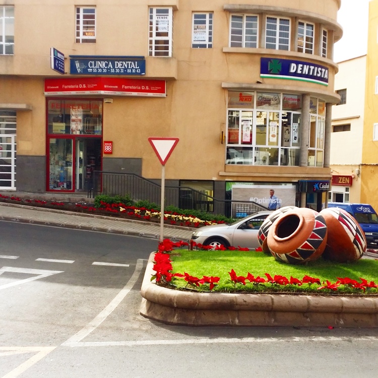 HNOS. DELGADO SAAVEDRA SL