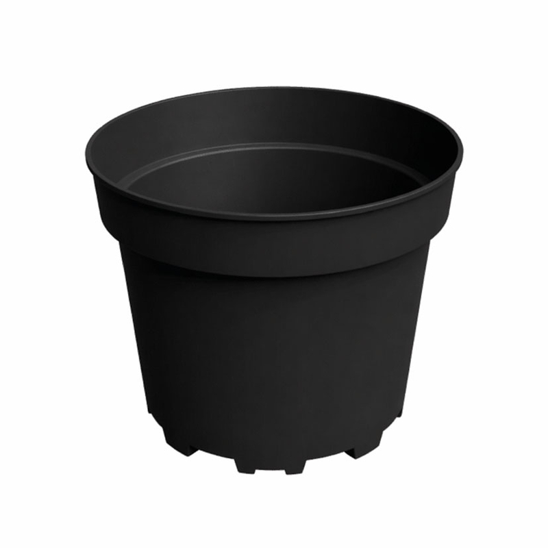 Maceta de transplante D19 cm