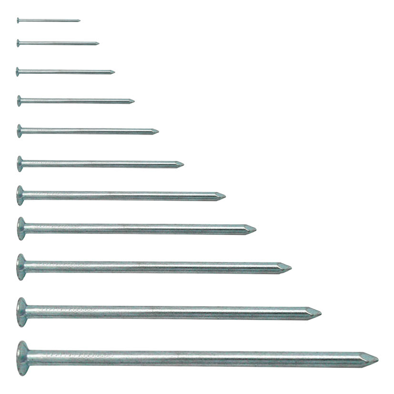 Punta cabeza plana EHS hierro cincado bolsa