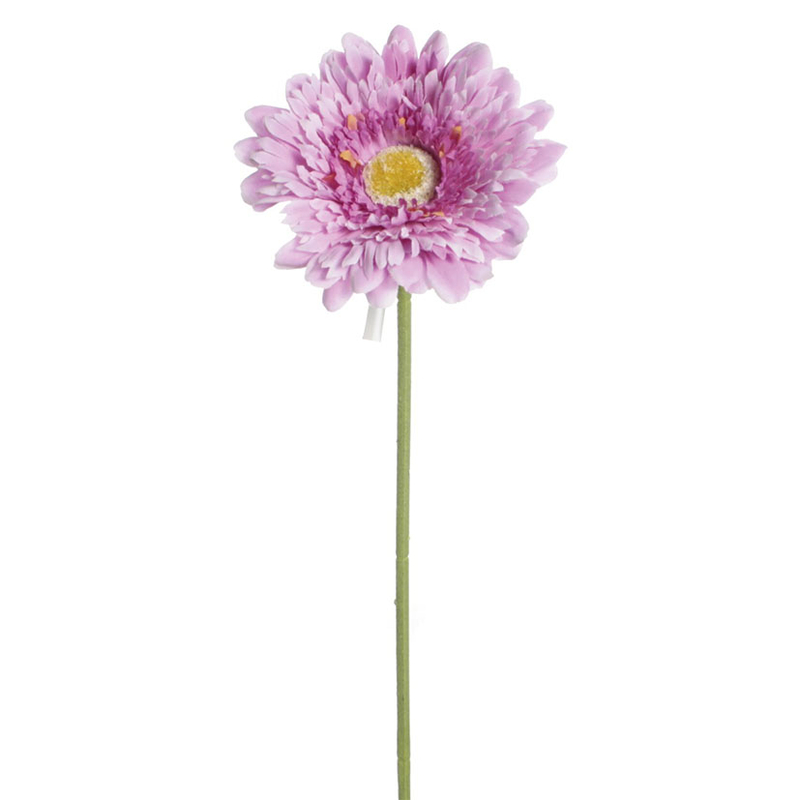 Vara gerbera lila, 36 unidades