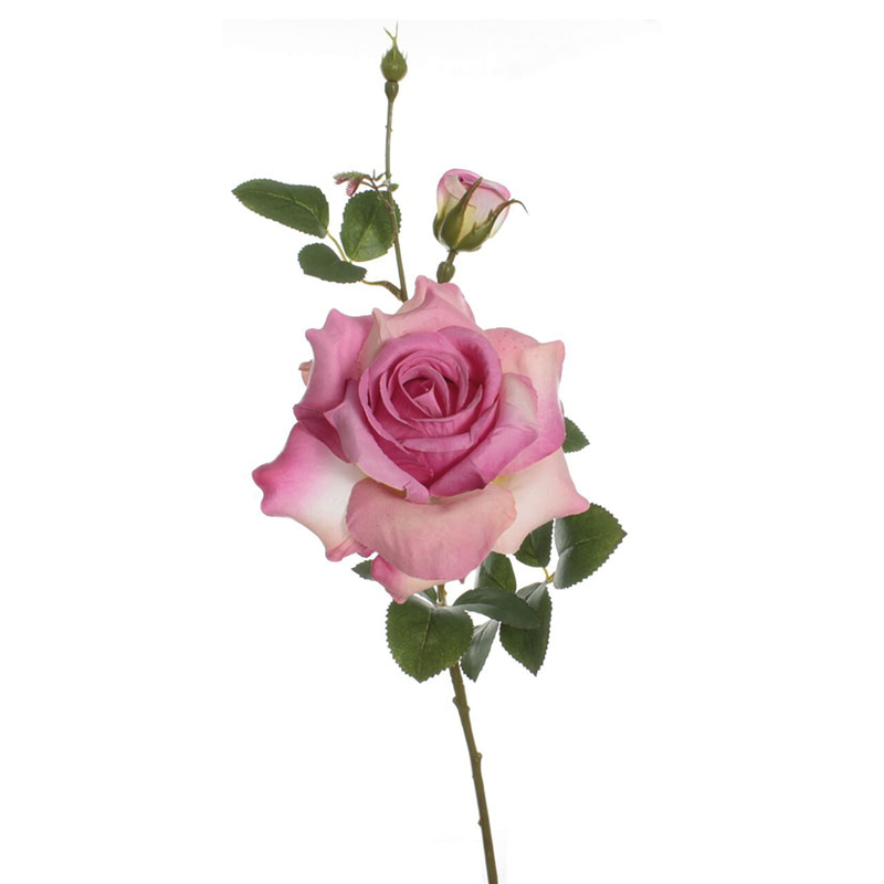 Vara rosa Alicia fucsia, 24 unidades