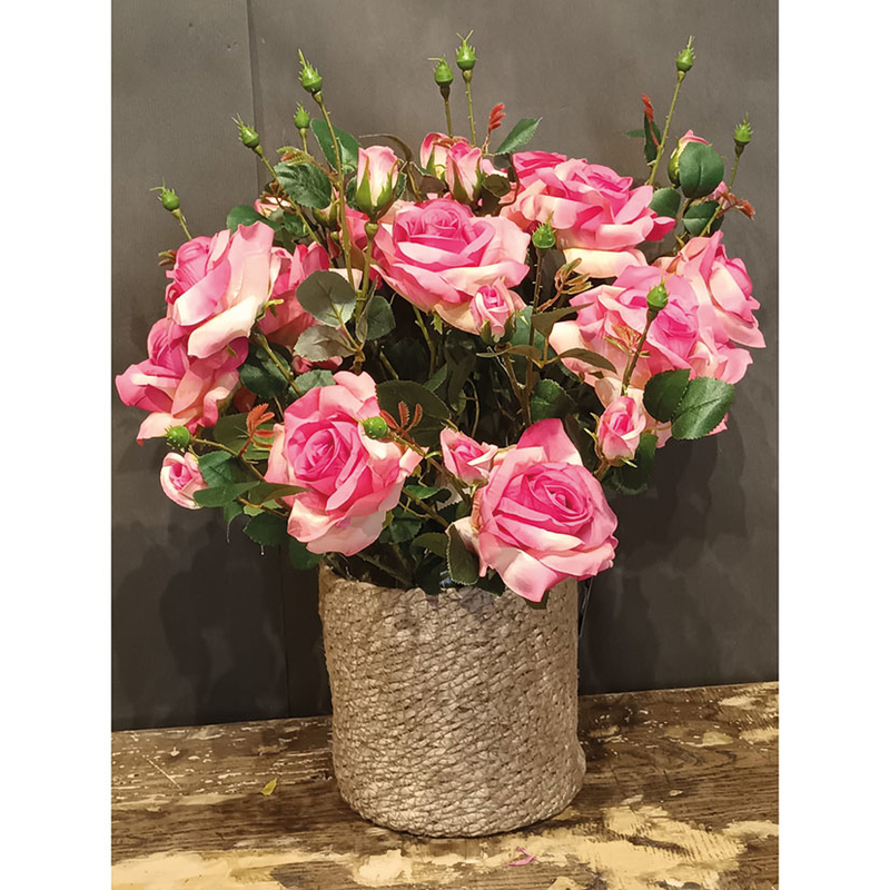 Vara rosa Alicia fucsia, 24 unidades