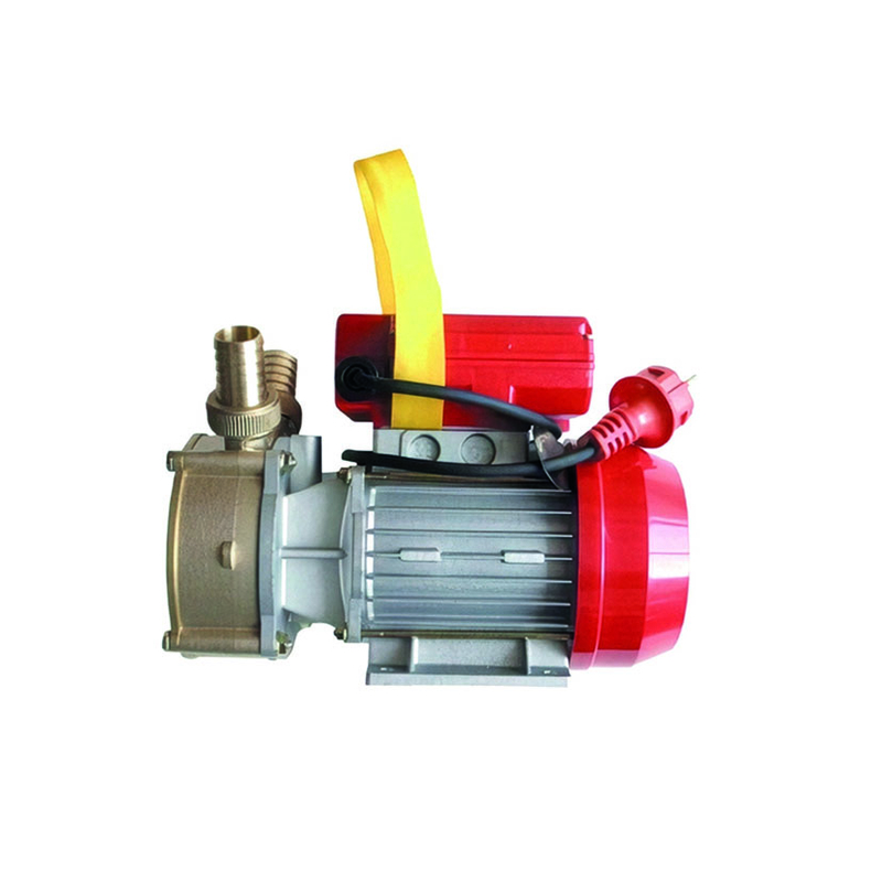 Bomba trasiego líquidos CAMPEON Rover 30CE