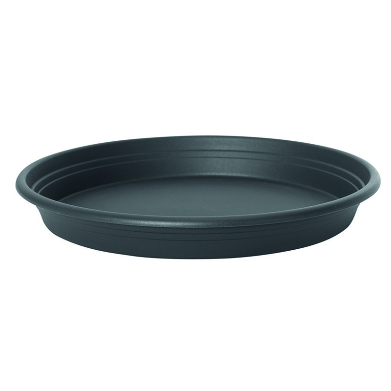 Plato universal EHLO terra