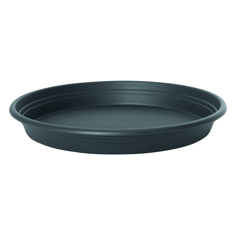 Plato universal EHLO antracita