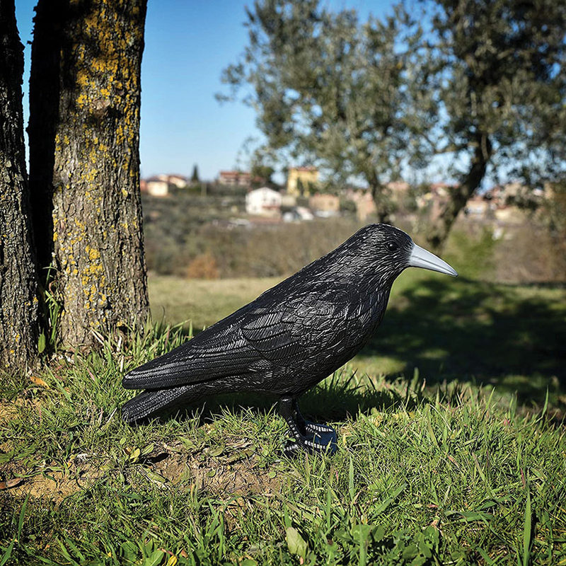 Cuervo ahuyentador ALTADEX contra pájaros