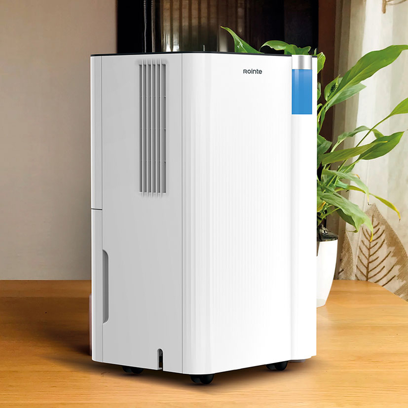 Deshumidificador ROINTE Drypure 12L