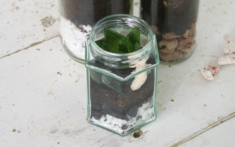 DIY reciclaje jardinería