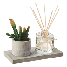 Caja aromas con planta decorativa